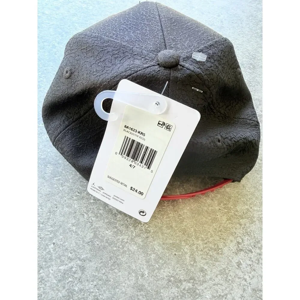 Jordan air hat